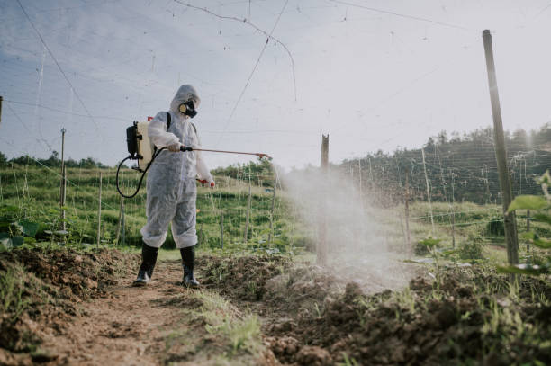 Pest Control Cost in Bloomingdale, GA