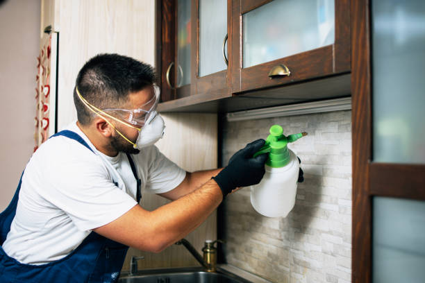 Professional Pest Control in Bloomingdale, GA