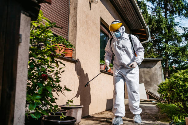 Pest Prevention Services in Bloomingdale, GA