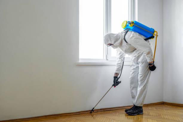 Best Best Pest Control Companies  in Bloomingdale, GA
