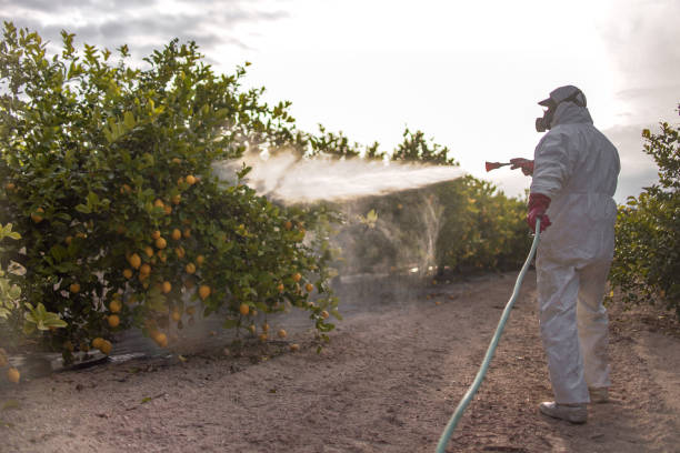Best Affordable Pest Control Services  in Bloomingdale, GA