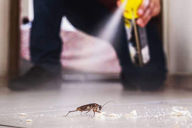 Bloomingdale, GA Pest Control Company