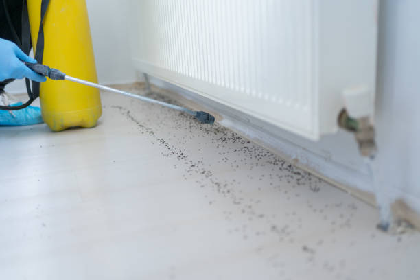 Pest Prevention Services in Bloomingdale, GA