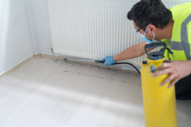 Best Pest Control Cost  in Bloomingdale, GA